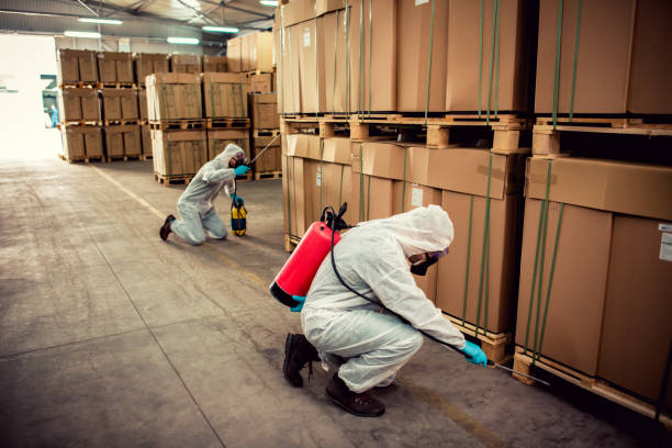Best Flea Control Services  in Copiague, NY