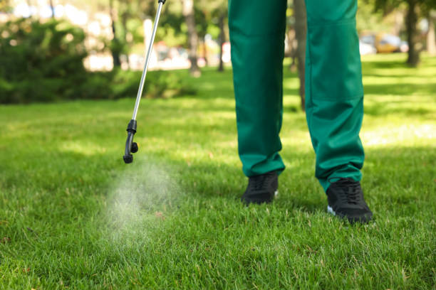 Pest Control Cost in Copiague, NY