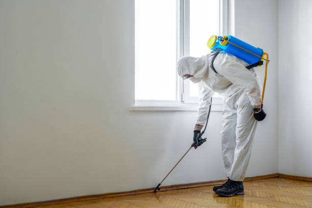 Best Termite Control Services  in Copiague, NY