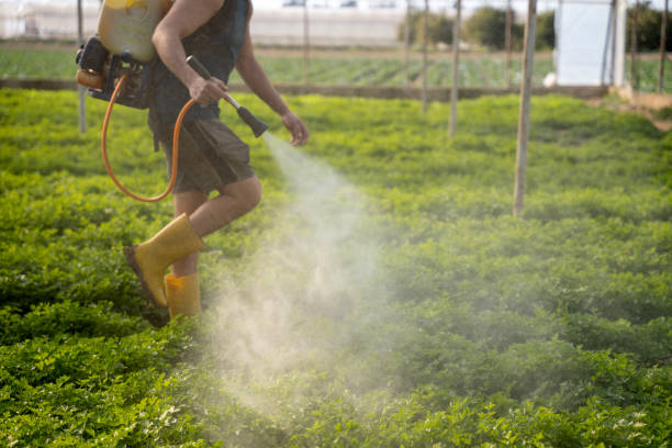 Reliable Copiague, NY Pest Control Solutions