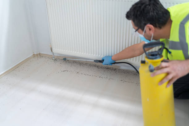 Best Pest Removal Services  in Copiague, NY