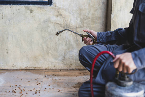 Best Residential Pest Control  in Copiague, NY